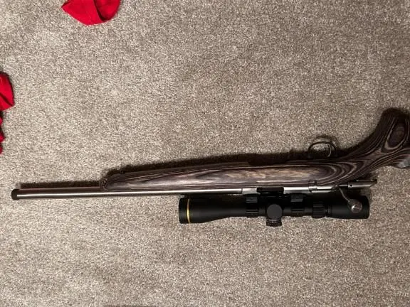 Ruger stainless 17hmr