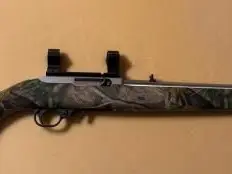 Ruger 10/22 with BX Trigger, Stainless Barrel, and Hogue Stock