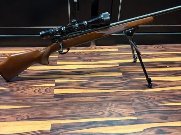 Weatherby vanguard 22-250