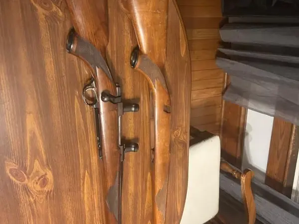 Ruger m77 .270