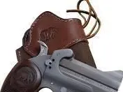 Bond Arms Grizzly Bear 45/410 pistol