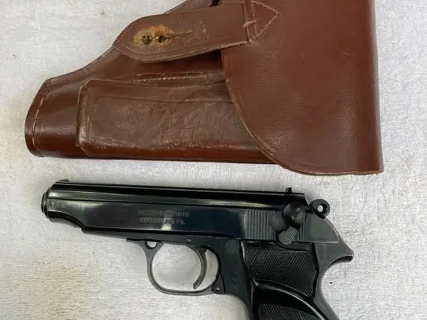 FEG 380 with holster