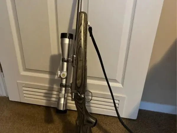 Ruger 243