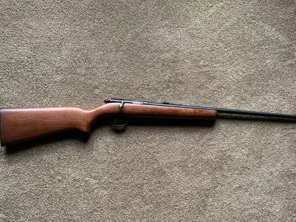 Remington 22 Rifle
