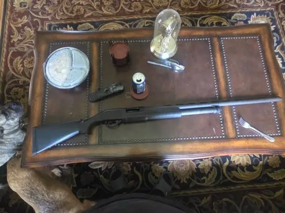 Savage Stevens Model 320 12ga