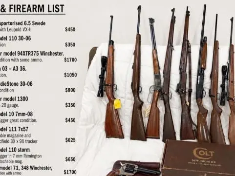 Guns guns guns