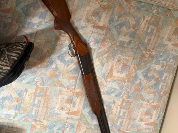 Savage model 440 12 gauge