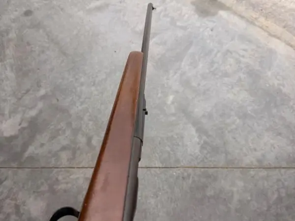 Remington 580 22LR