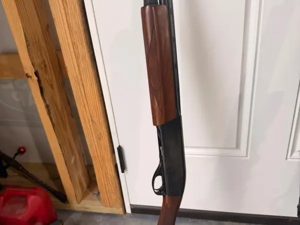 REM model 1100 special 12ga