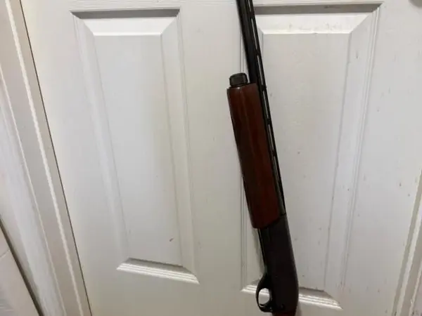 Remington 1100 LT 20 Special Field