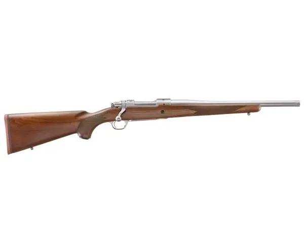 Ruger Hawkeye Hunter stainless 16.5 threaded