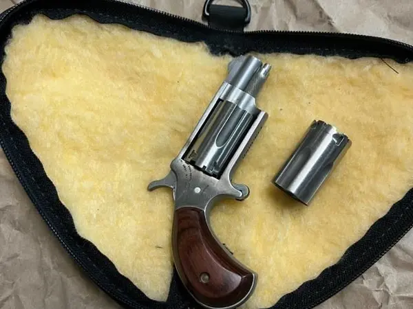 NAA 22LR /22Mag Mini Revolver
