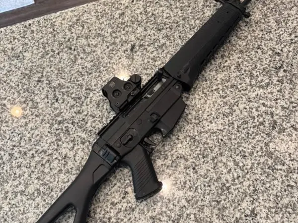 Sig 556 classic