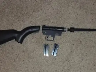 ar7 survival rifle .22