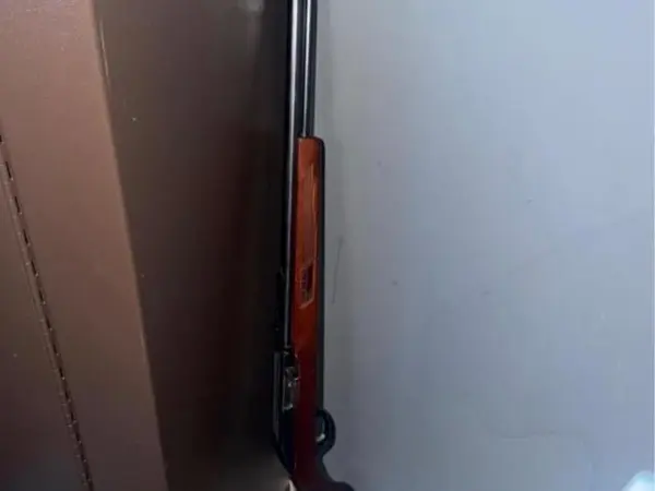 Marlin Limited Series 6081 .22LR Semi Auto