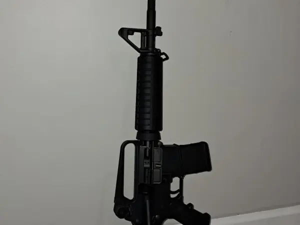 Bushmaster XM15-E2S (556)