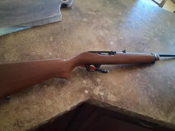 Ruger 1022