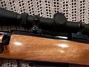 Remington 788 308 w/leupold scope