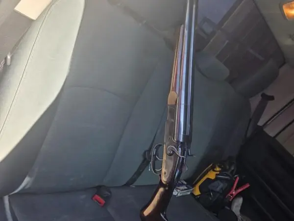 Interarms Coach gun