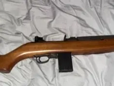 Auto Ordnance M1 carbine w/ ammo