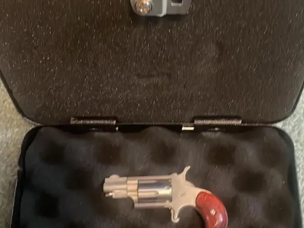 Naa 22lr