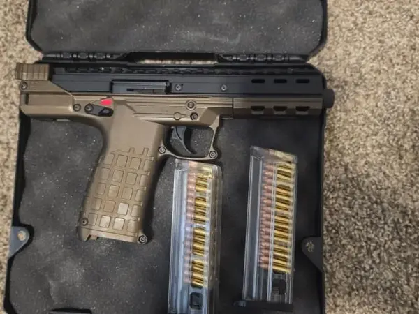 Keltec cp33 bronze