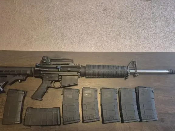 PSA AR10 308