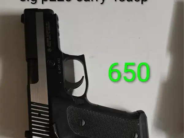 Sig P220 carry 45acp
