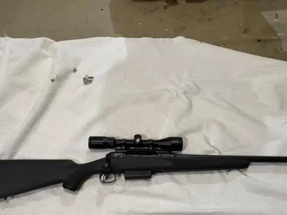 Savage 220 slug gun