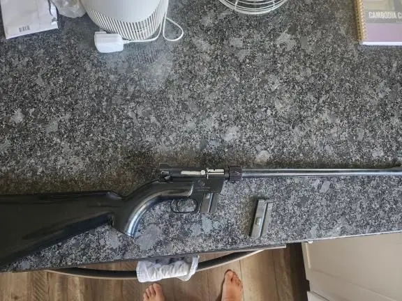 Charter Arms AR-7