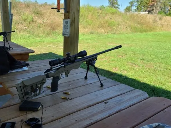 Ruger american bolt-action 308