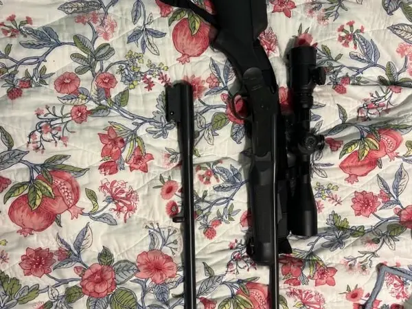 Rossi Braztech Taurus