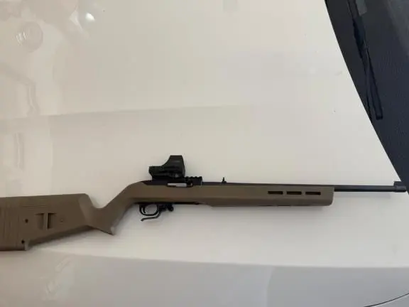 Ruger 10/22