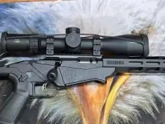 Ruger RPR 17hmr