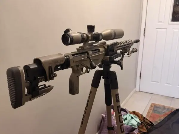 Ruger precision .308