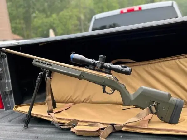 Ruger American with thermion scope