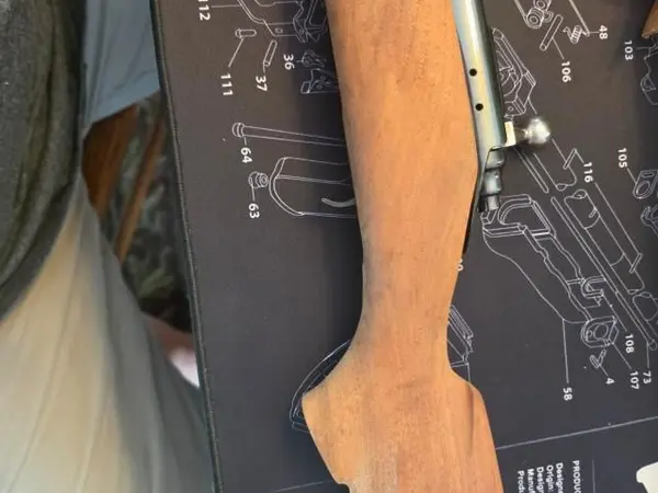 Remington model 722 .222