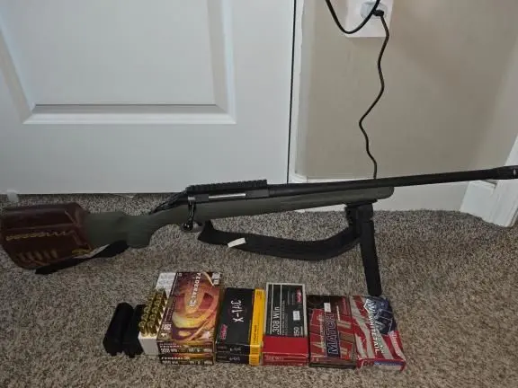 Ruger American Predator 308