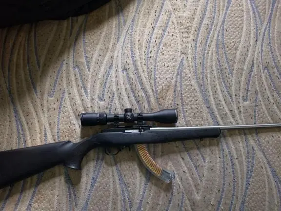 Ruger 10/22 with 22 plinkster binary