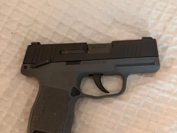 Sig P365