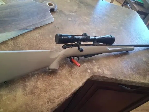 Savage M25 in 204 Ruger