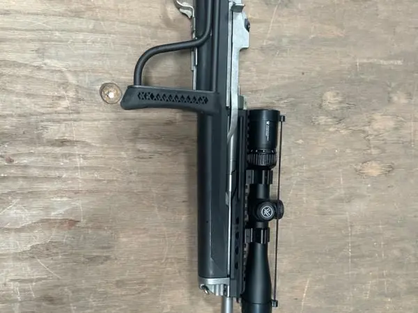 Ruger mini 14 in 5.56