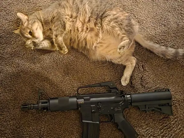 Ar15 dpms kitty kat
