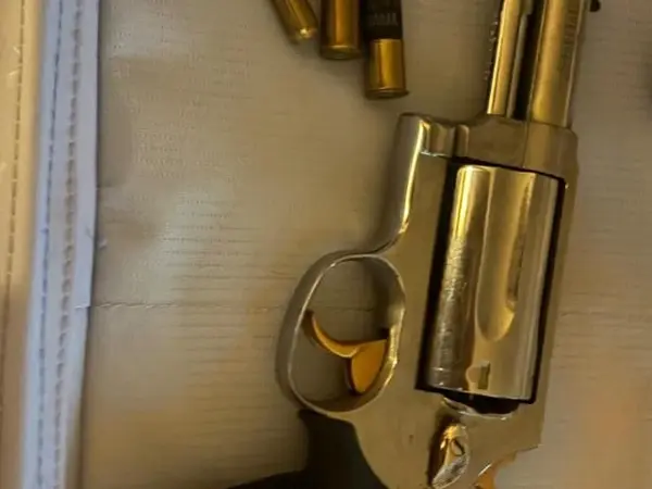 Taurus Judge