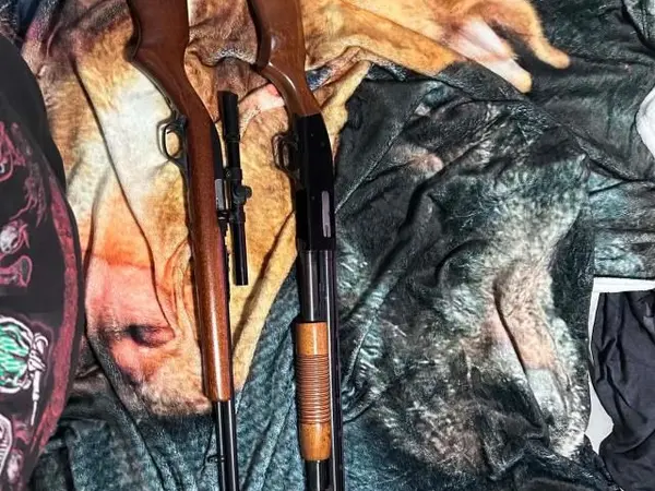 Marlin model 60/ mossberg 500A