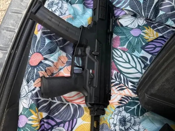 Springfield kuna