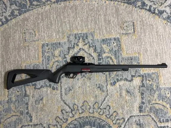 Winchester Wildcat 22lr