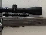 Savage 93r17