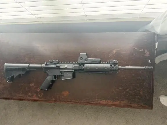 MP15 Tactical with Eotech