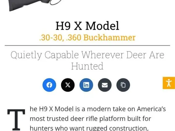 Henry model x 30/30